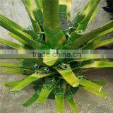 Artificial Fiberglass Coconut Palm Tree With Fireproof for Sale Outdoor Decoration thumbnail-3
