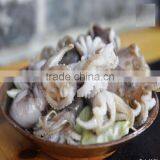 Frozen HACCP Certification Baby Octopus thumbnail-1