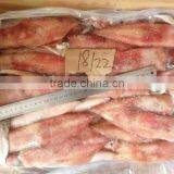 Sea Frozen Loligo Chinensis ,for Italy ,Greece et ,EU Market thumbnail-2