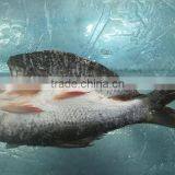 Rohu, Koi thumbnail-3