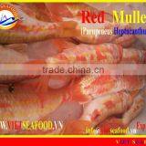 FROZEN W/R RED MULLET thumbnail-6