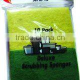 Kitchen Cleaning Scrubber thumbnail-1