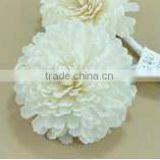 Xiamen Apple Natural Sola Flower Diffuser / Diffuser / Home Decoration