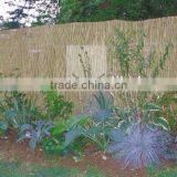 Reed Fence thumbnail-4