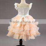 MGOO Latest Design Stocklot Pretty Girl Pageant Dresses Kids Champage Flowers Toast Embroidery Dress MGT005-3 thumbnail-5