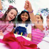 Hot Selling Party Decoration Bunting Flag/ Birthday Pennant thumbnail-5