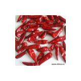 Sell Tianjin Small Chili thumbnail-1