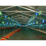 Cheap Poultry Farm for Sale thumbnail-1