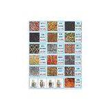 AMS-80A 1760*1050*1850mm Automatic Screw Oil Press Machine 2-3 Capacity(T/D)