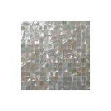 Whitelip Mother of Pearl