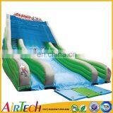 Top Quality Adult Regualr Inflatable Slide for Sale