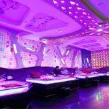 12W Led Par Light Wall Wash Wedding DJ Up Light RGBW DMX Color Mixing for KTV Bar Pub Dance thumbnail-5