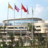 Decorative Erecting Flag Pole