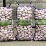 Normal White Garlic in 20kg Mesh Bag thumbnail-1