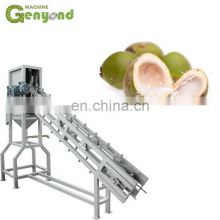New Technology Mini Small Fruit Juice Production Line from Shanghai Electric New Product 2020 Customized Filling Machine