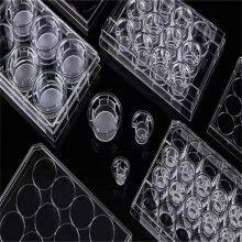 Transparent Gpps Plastic 525 Polystyrene Raw Material Gpps Resin Virgin Modified GPPS Pellets thumbnail-4