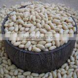 High Quality and Super Low Price Blanched Peanuts Hot Sale thumbnail-1