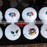 Digital Multi-function Flatbed Printer for Golf Ball thumbnail-1