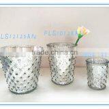 Silver Plating Round Glass Pot thumbnail-1