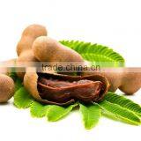 High Quality Textile Printing Thickener and Gum Thickener thumbnail-4