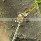 Emergency Survival Gear Outdoor Plastic Steel Wire Saw Ring Scroll Travel Camping Hiking Hunting Climbing Survival Tool thumbnail-4