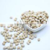 White Kidney Beans (Navy Type) thumbnail-3
