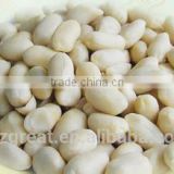 Supply Chinese Blanched Peanut Kernels Round for Sales
