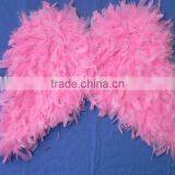 Pink Angel Wing thumbnail-1