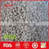 High Quality White Kidney Beans for Sale at Cheap Price thumbnail-3