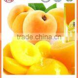 High Quality and Taste Good Canned Fruits Fresh Canned Yellow Peach thumbnail-1
