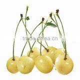 Georgia IQF White Round Frozen Cherry