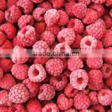 Grade A Grade B wholesale whole IQF raspberry in 2016 ,frozen raspberries