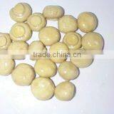 Salted Champignon Mushroom