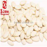 Chinese Best Price White Pumpkin Seeds thumbnail-4