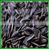 Sale Chinese Best Quality and Cheap Raw Sunflower Seeds In Bulk for Bird Food thumbnail-2