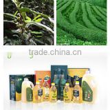 Organic Green Tea Seed Oil and Camellia Oil