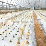 Drip Irrigation EV0231 Plastic Film Mulch thumbnail-6