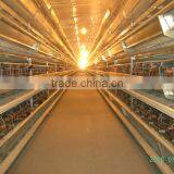 Poultry Farm for Hens thumbnail-1
