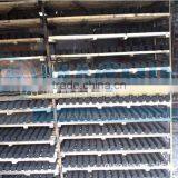 High Capacity Coconut Shell Coal Rods Machine,coal Briquette Extruder Machine thumbnail-6