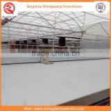 Agriculture Equipment Multi-span 7.2m PE Film Agriculture Greenhouse for Sale thumbnail-4