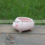 Cute Ceramic Animal Shape Planters for Succulent Plants thumbnail-4