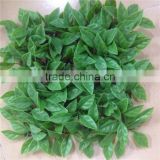 indoor Artificial Boxwood Grass Panel Wholesale for wall decoration