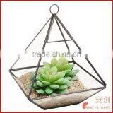 Geometric Glass Terrarium