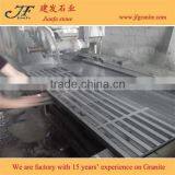 G654 Padang Dark Granite Blind Paving Stone thumbnail-3