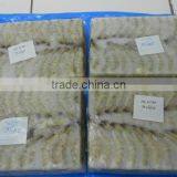 Vannamei Shrimp thumbnail-5