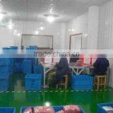 Ningbo Yinzhou Tongjin Imp&Exp Co., Ltd. company overview - view 2 thumbnail