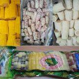 IQF Sweet Corn thumbnail-1