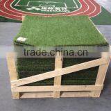 Artificial Grass for Pet Mat thumbnail-5