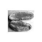 Sea Cucumber thumbnail-1