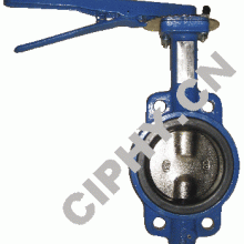 Slim Disc Wafer Type Butterfly Valve (IBXOO-UPWOP) ciphy valve